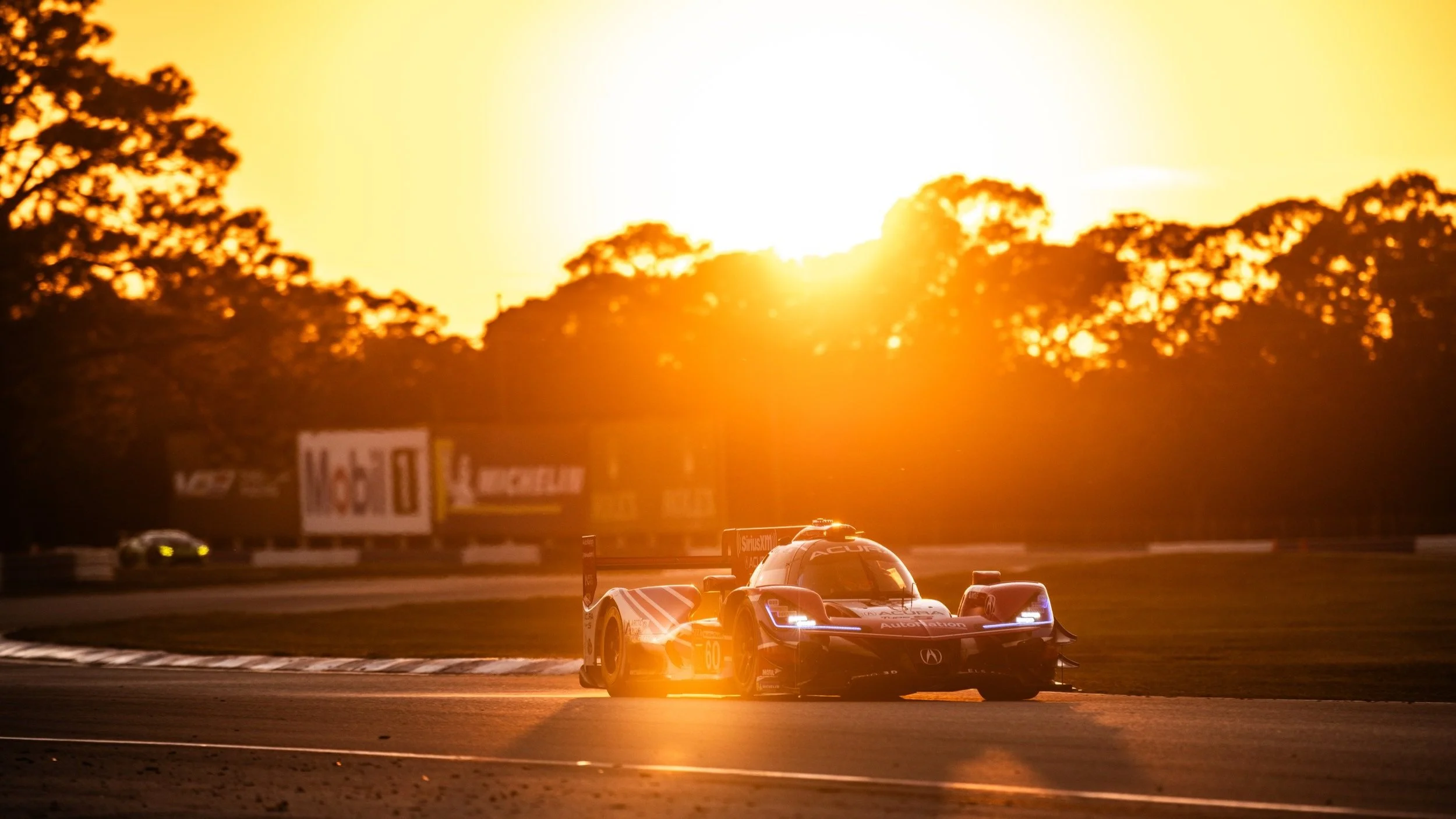 サニーデイ・サービス　COSMO-SPORTS Cosmo-Sport, Inc.